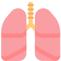 🫁 Lungs Emoji
